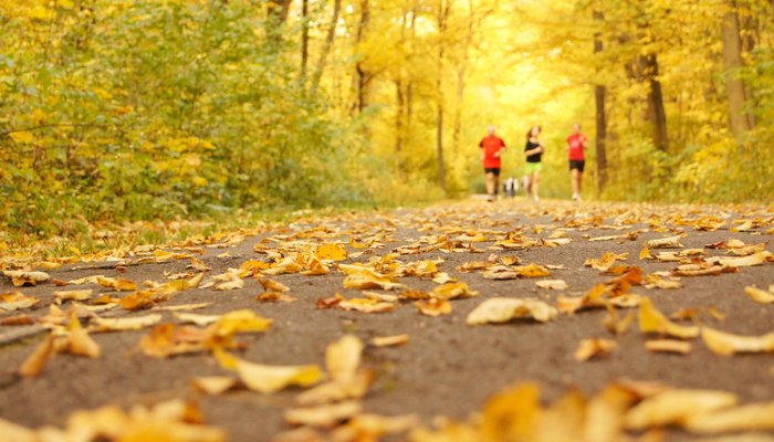 Running through woodlands