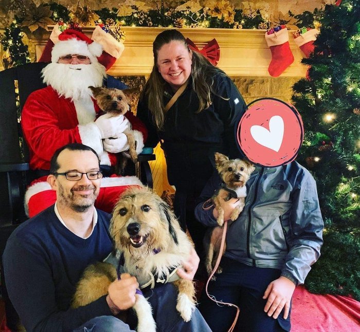 Seamus and Katie Xmas