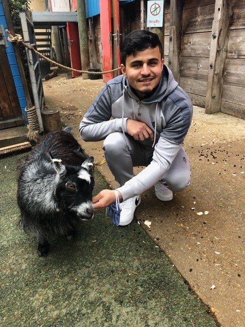 Sheraf at London Zoo crouching next to a goat
