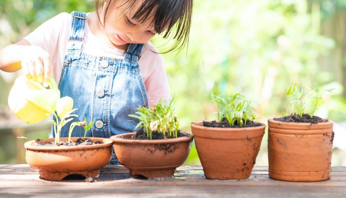 Young girl watering her sprouting plants outside