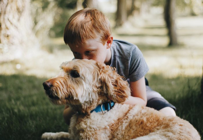 Boy Playing With Dog