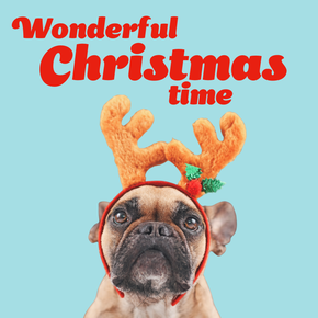 Dog - Wonderful Christmas time