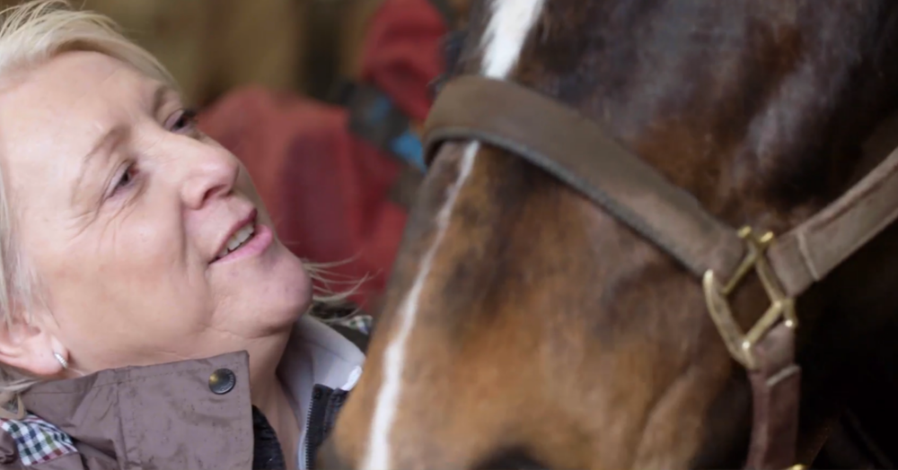 A close up of a woman looking lovingly at a brown horse